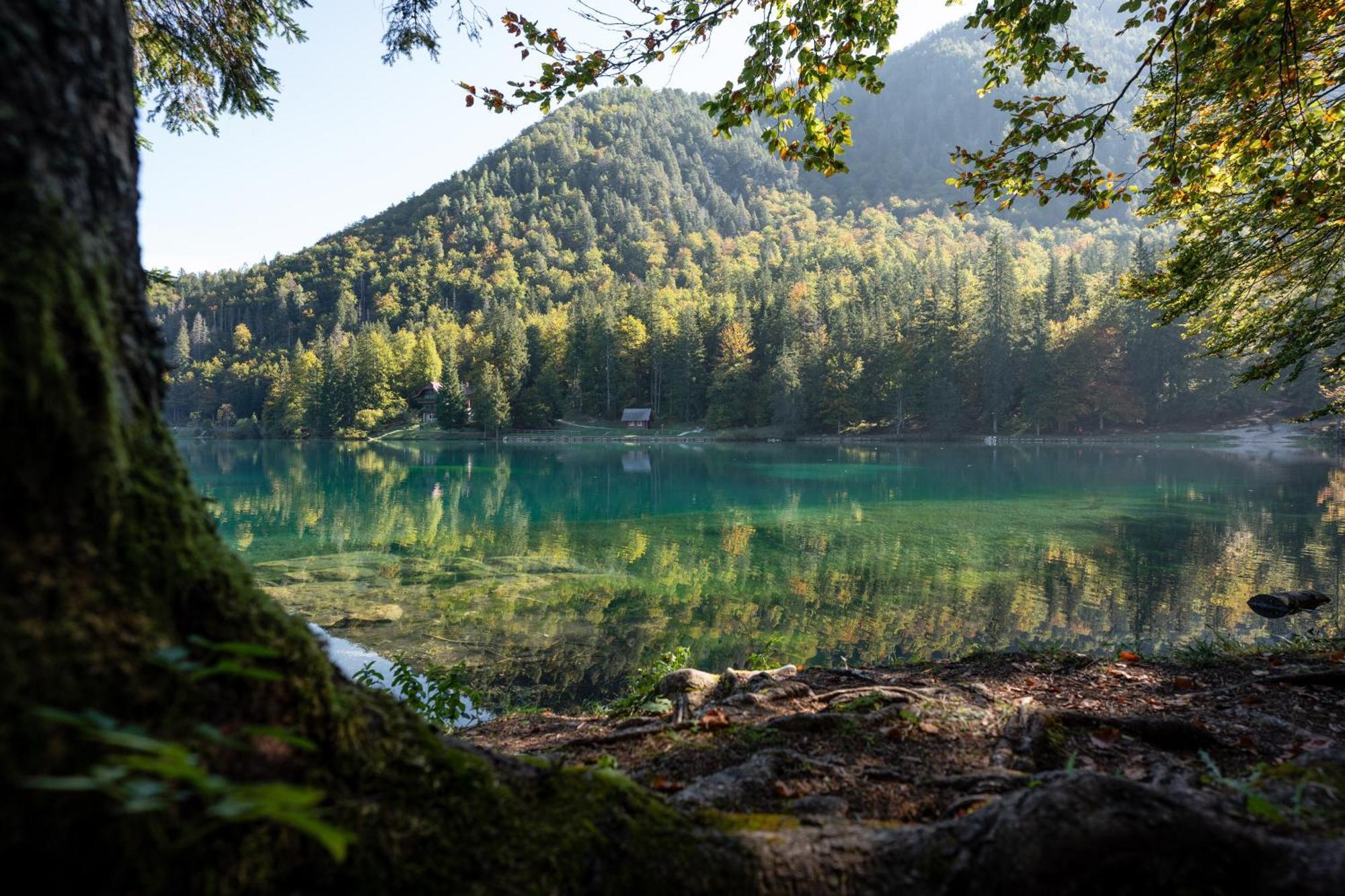 Al Casello Tarvisio Eksteriør billede